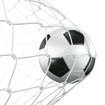 Sticker Soccerball in net