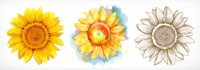 Sticker Sonnenblume in drei Varianten