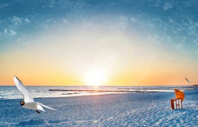 Sonniger Strand und Möwe
