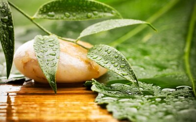 Sticker Spa-Behandlung.