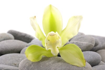 Sticker Spa Essentials Pyramide von Steinen mit Orchidee