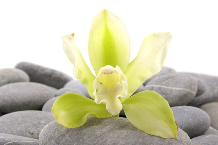 Sticker Spa Essentials Pyramide von Steinen mit Orchidee