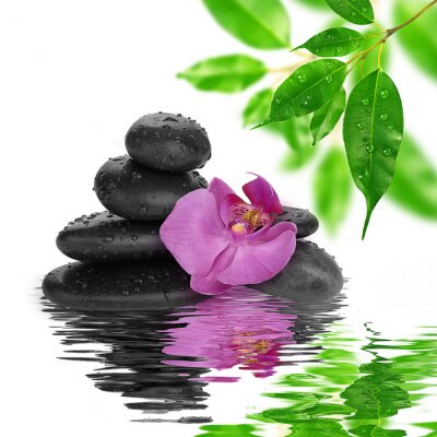 Sticker Spa Hintergrund schwarze Steine auf dem Wasser