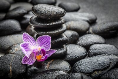 Sticker Spa-Konzept Zen Basaltsteinen und Orchidee