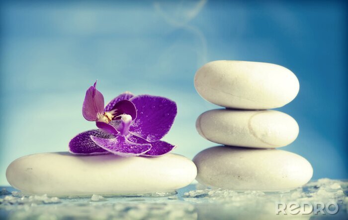 Sticker Spa-Stillleben mit rosa Orchidee und weißem Zen-Stein