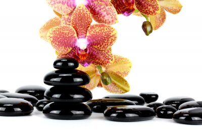 Sticker Spa Stones und Orchid Blumen auf weißem ...