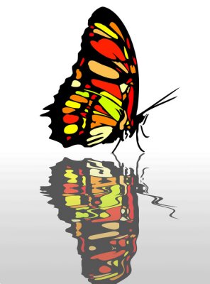 Sticker Spiegelung eines farbigen Schmetterlings
