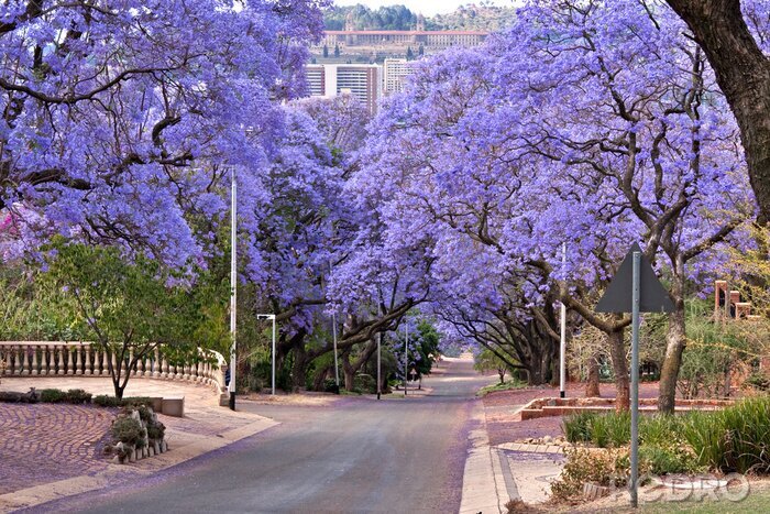 Sticker Stadt und Natur