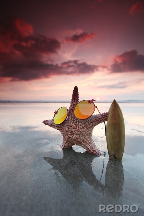Sticker Starfish-Surfer am Strand