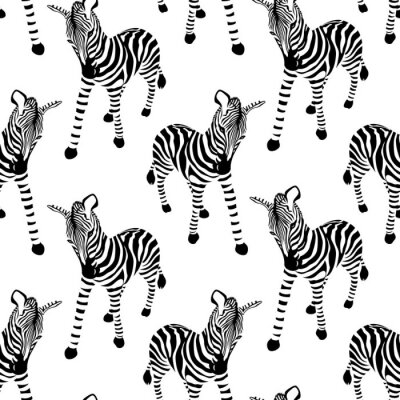 Stehende Zebras auf weißem Hintergrund