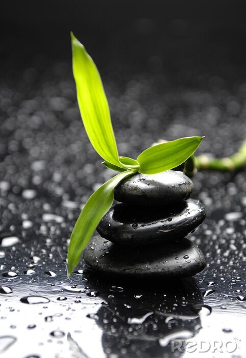 Sticker Steine Zen inmitten von Wassertropfen