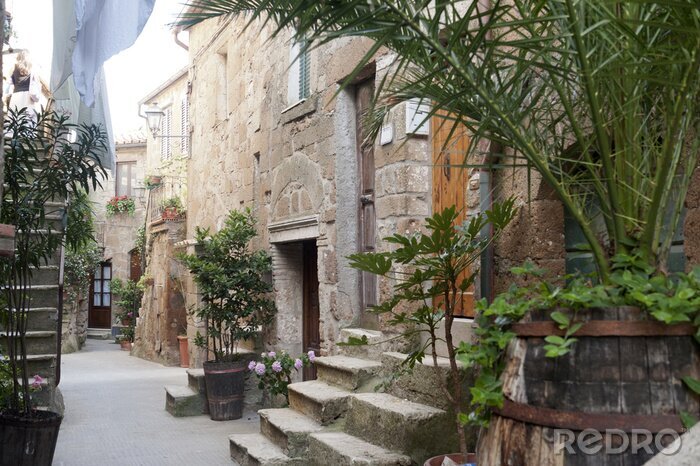 Sticker Steiniger Hof mit tropischen Pflanzen