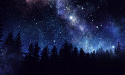 Sticker Sternenhimmel über dem Wald