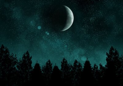 Sticker Sternennacht mit Wald und Mond