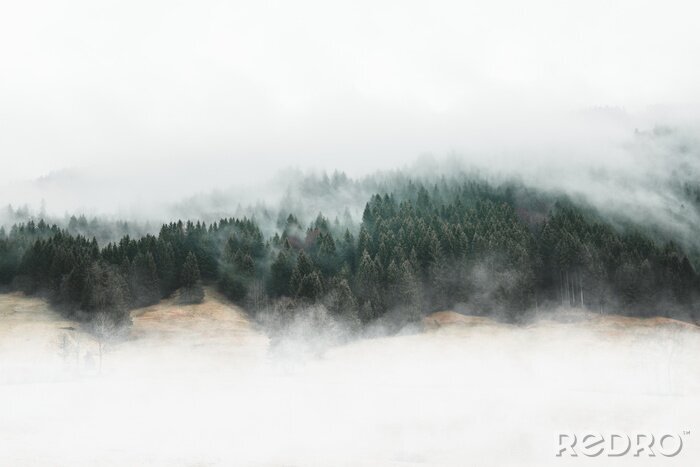 Sticker Stimmungsvoller Nebelwald