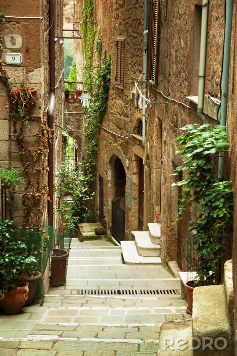 Sticker Straße mit Pflanzen in Italien
