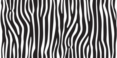 Sticker Streifen Tier Dschungel Textur Zebra Vektor schwarz weiß Druck Hintergrund nahtlose Wiederholung