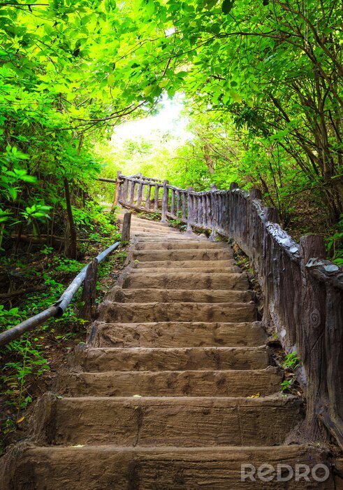 Sticker Stufen im Laubwald