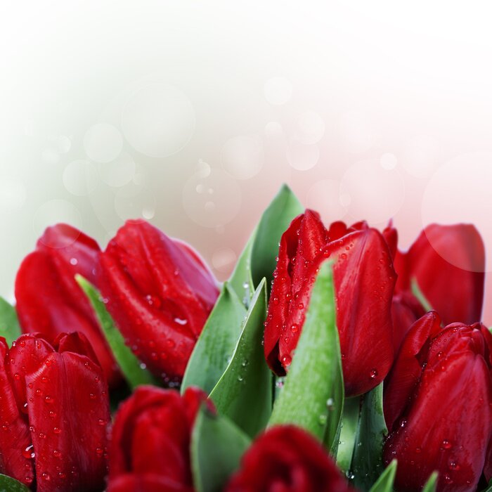 Sticker Tau auf roten Blumen