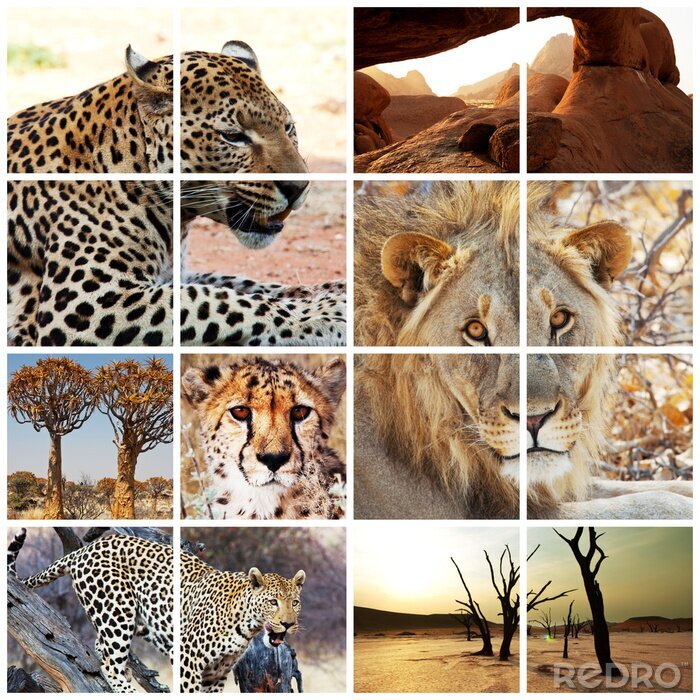 Sticker Tiere Afrikas wild