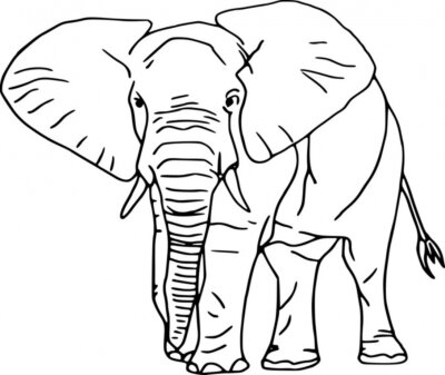 Sticker Tiere Elefant schwarzer Umriss minimalistische Grafik