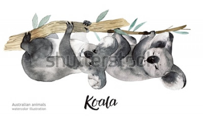 Sticker Tiere für Kinder Aquarell Koalas auf einem Ast
