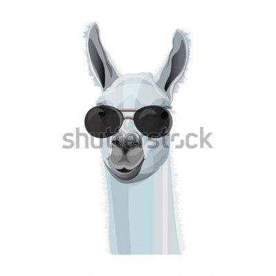 Sticker Tiere für Kinder lustiges Lama mit Brille
