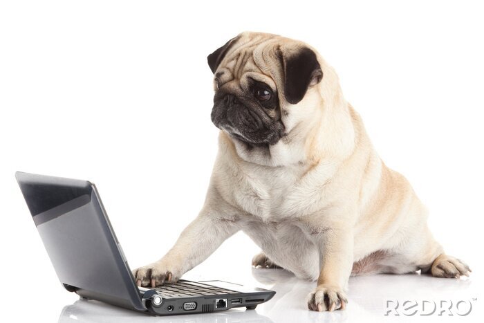 Sticker Tiere Hund hält Pfote auf Tastatur