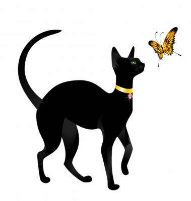 Sticker Tiere Katze schaut auf Schmetterling