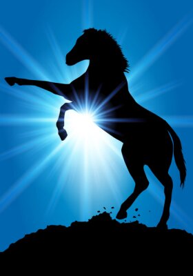Sticker Tiere Pferd und Sonnenstrahlen