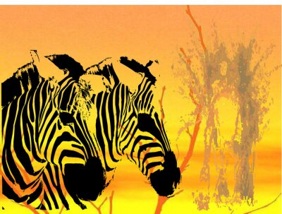 Sticker Tiere Safari Zebras und sonniger Hintergrund