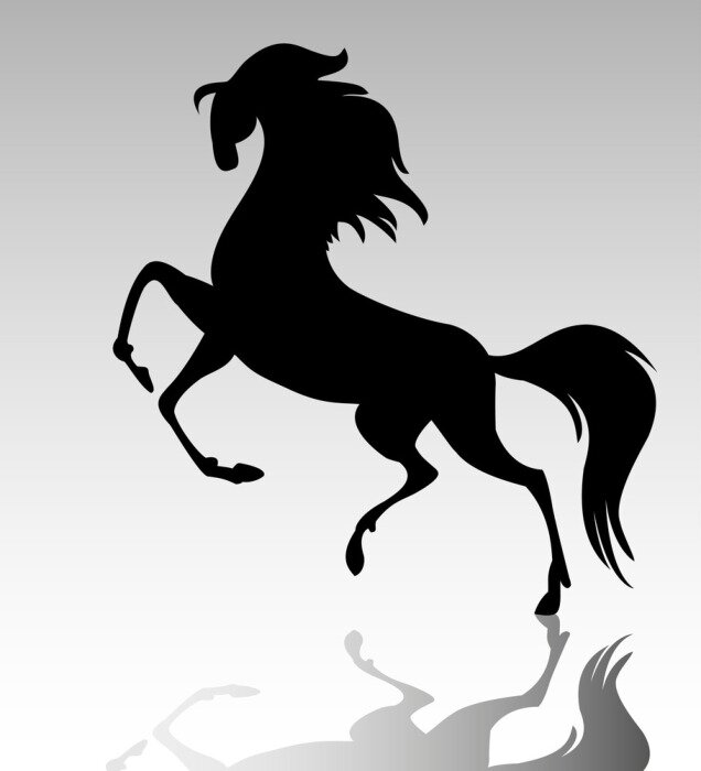 Sticker Tiere schwarzes Reitpferd und sein Schatten