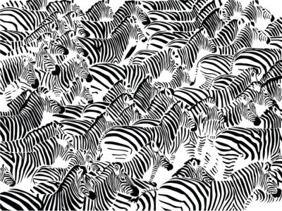 Sticker Tiere Zebras große Herde