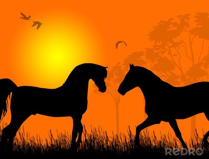 Sticker Tiere zwei Pferde, die sich mit den Mäulern gegenüberstehen