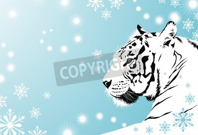 Tiger unter den schneeflocken