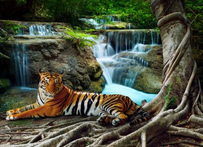 Tiger vor dem hintergrund von wasserfällen