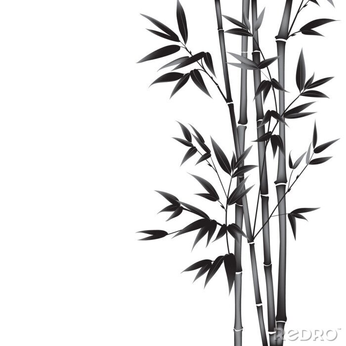 Sticker Tinte Farbe Bambus Busch. Karte mit schwarzen Bambus-Pflanzen isoliert auf weißem Hintergrund. Dekorative Bambuszweige. Abbildung.