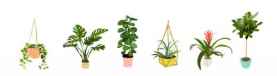 Sticker Topfpflanzensammlung.  Sukkulenten und Zimmerpflanzen.  Hand gezeichnete Vektorgrafiken.  Satz Hausinnenpflanzenvektor-Cartoon-Gekritzel.