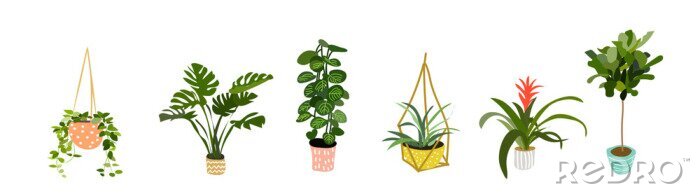 Sticker Topfpflanzensammlung.  Sukkulenten und Zimmerpflanzen.  Hand gezeichnete Vektorgrafiken.  Satz Hausinnenpflanzenvektor-Cartoon-Gekritzel.