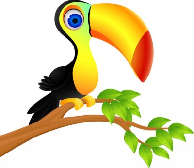 Sticker Toucan Vogel