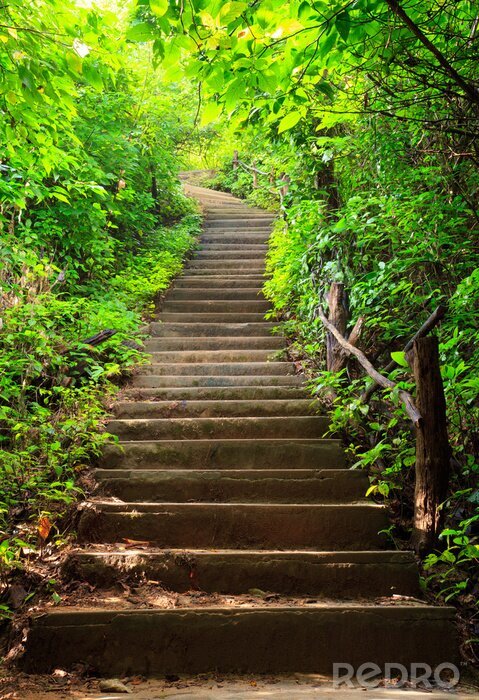 Sticker Treppen im Blätterwald