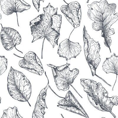 Sticker Trockenes Herbstlaub