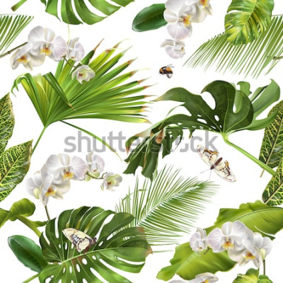 Sticker Tropen Blätter und Schmetterlinge