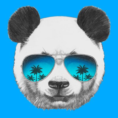 Sticker Tropen Panda mit Brille auf der Nase