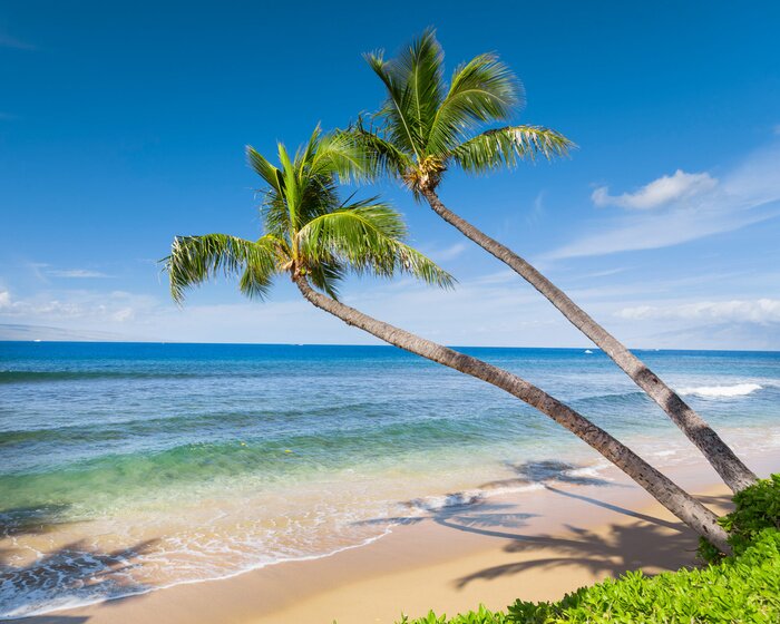 Sticker Tropen und sonniger Strand