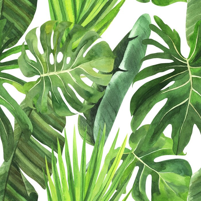 Sticker  Tropical seamless pattern with tropical leaves, palm banana monstera on an isolated white background, watercolor jungle drawing, stock illustration.