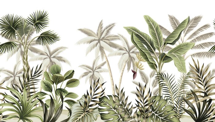 Sticker Tropical vintage botanical landscape, palm tree, banana tree, plant floral seamless border white background. Exotic green jungle wallpaper.