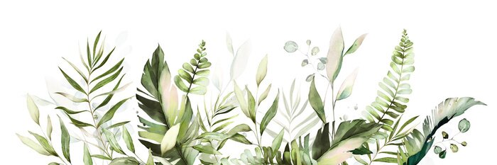 Sticker tropical watercolor herbal branch with leaves