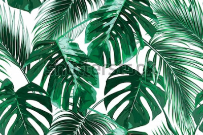 Sticker Tropische Blätter auf weißem Hintergrund