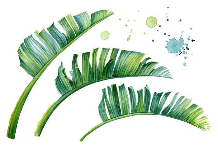 Sticker Tropische Blätter mit Wasserfarben gemalt